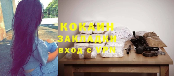 твердый Богородицк