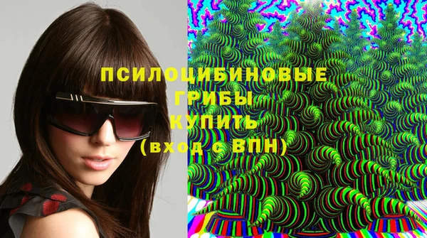 круглые Бородино