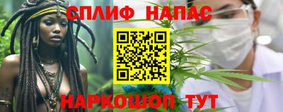 бошки Бийск