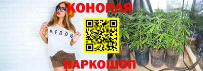 прущие крисы Бугуруслан