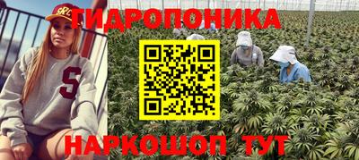 крисы Беслан